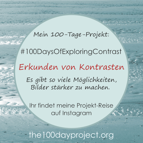 The100DayProject